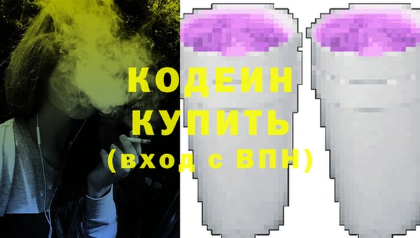 твердый Пересвет
