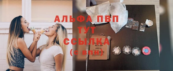 твердый Пересвет