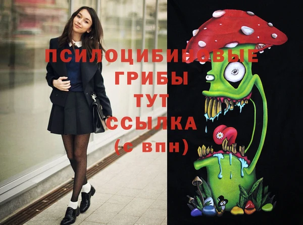 твердый Пересвет