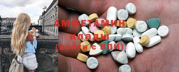 твердый Пересвет