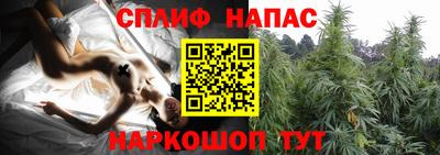 кокаин Новозыбков